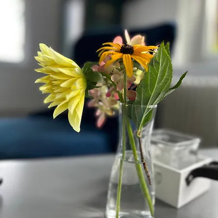 Gaestehaus Kleiner Wacholder 3* バート・ドーベラン